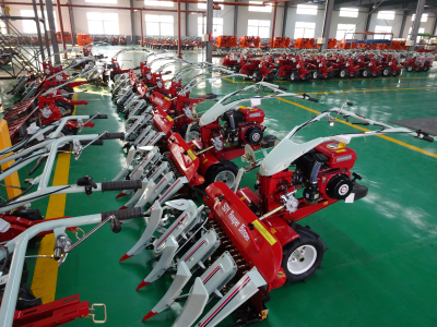 �����C����Щ���c