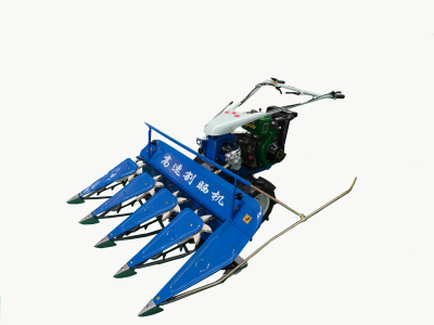 ���C(j��)������_ԇ�\(y��n)��