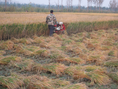 �H���ո�����Cʹ��ע����헜\��