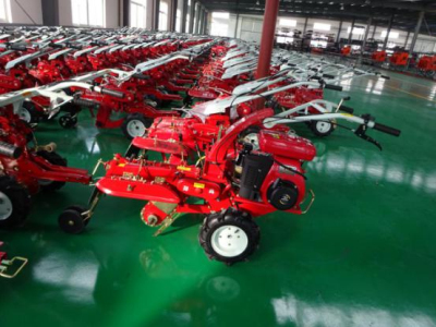 �_�������C�z�ޱ��B����f��