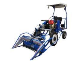 �����C��ʲô���ݣ�