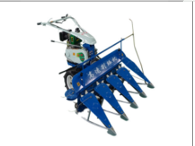 �����C�Y���c����ԭ��